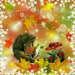 Meet your Posher, Robin